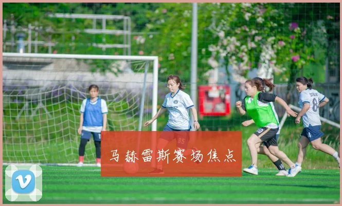 马赫雷斯赛场焦点
