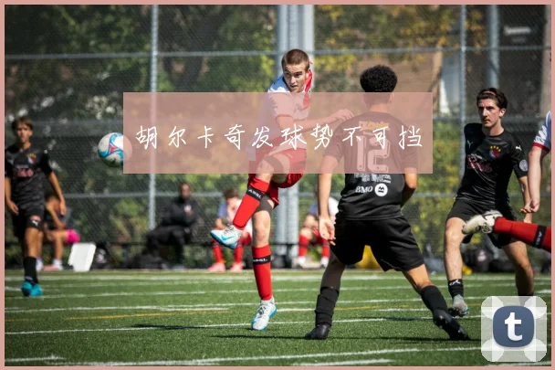胡尔卡奇发球势不可挡