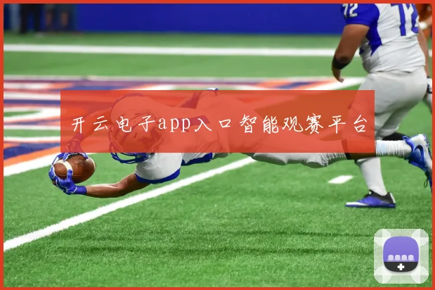 开云电子app入口智能观赛平台