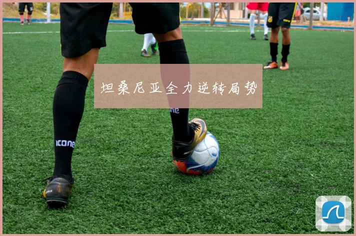 坦桑尼亚全力逆转局势