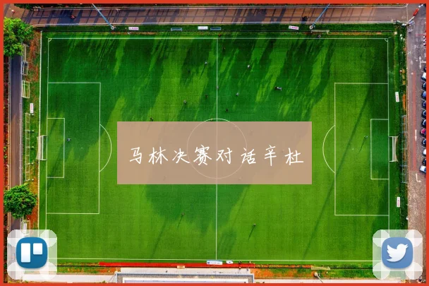 马林决赛对话辛杜