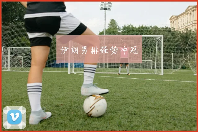 伊朗男排强势冲冠