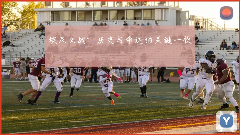 埃及决战：历史与命运的关键一役