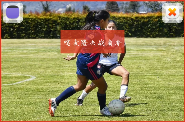 喀麦隆决战南非